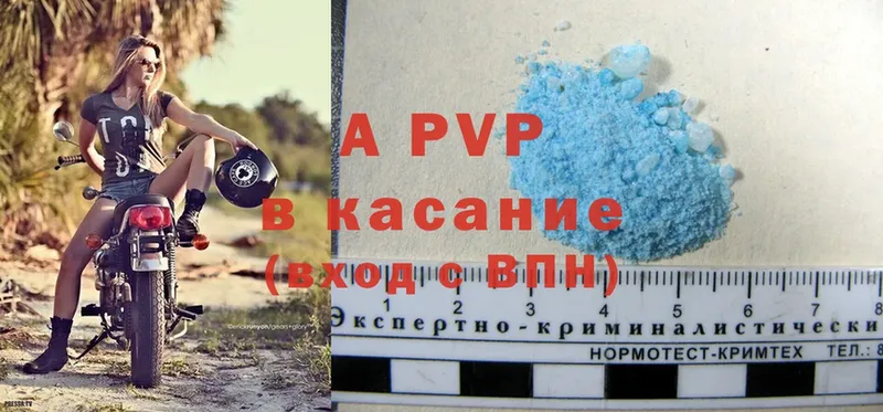 A PVP СК  Апатиты 